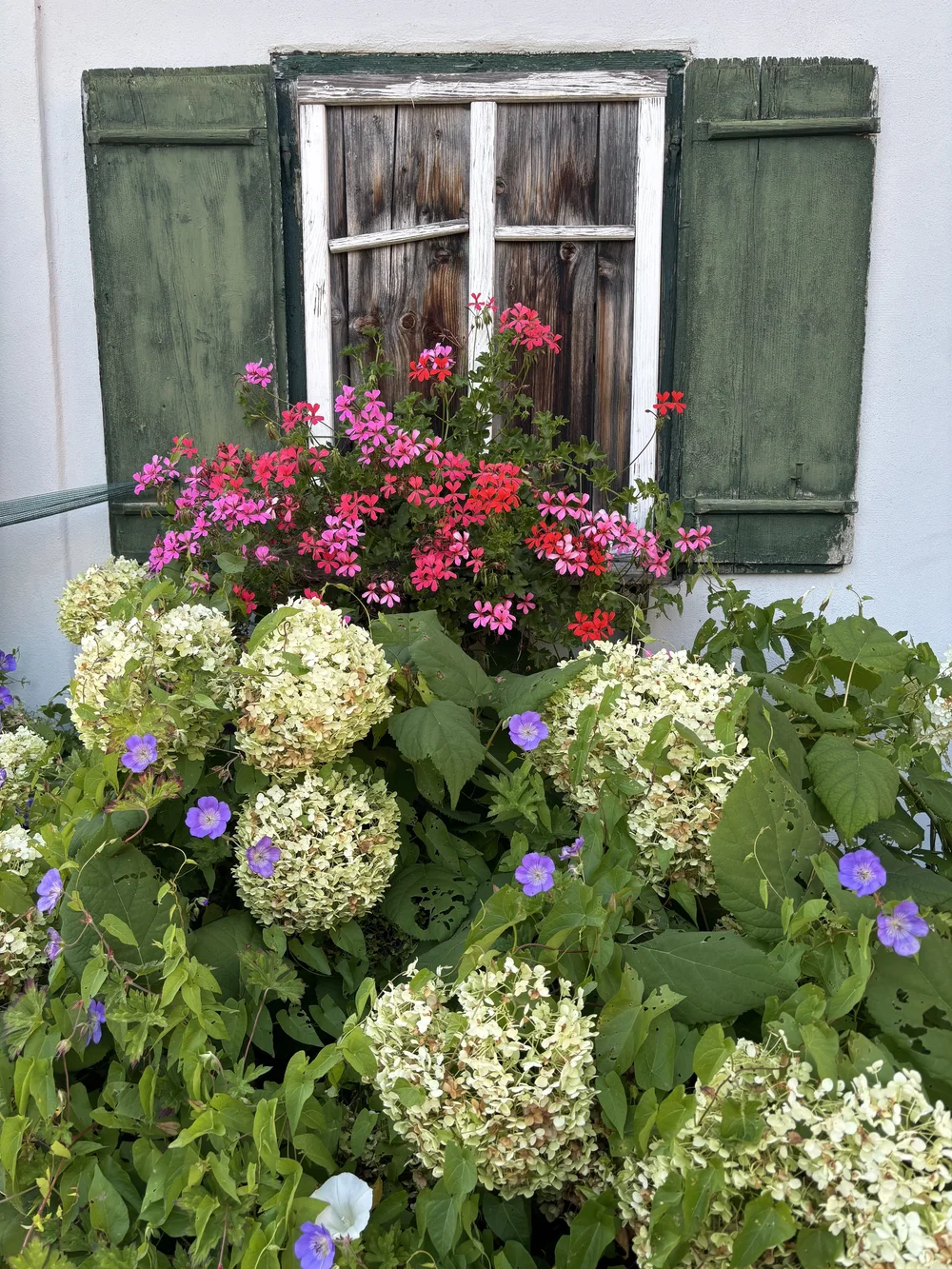 IMG_8448.jpeg