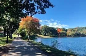 Conservation Committee