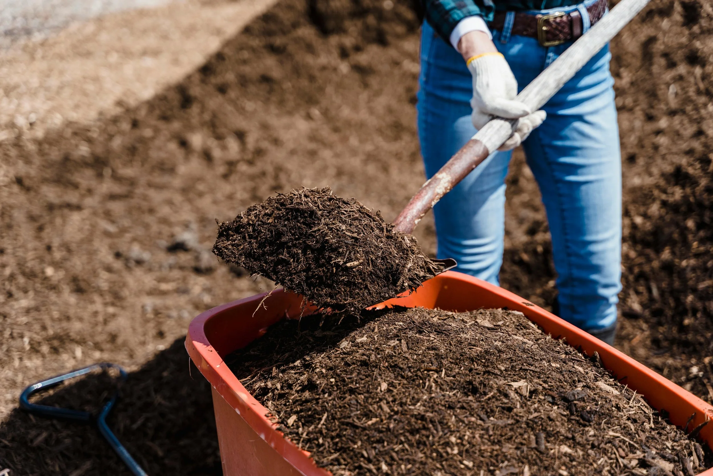 Soil, Soil, Soil…