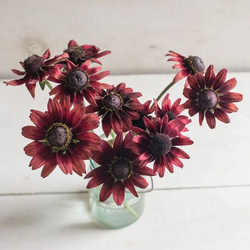 01865_02_cherrybrandy.jpg