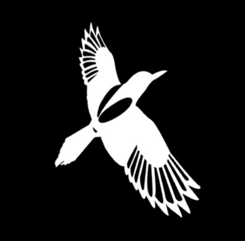 bird icon