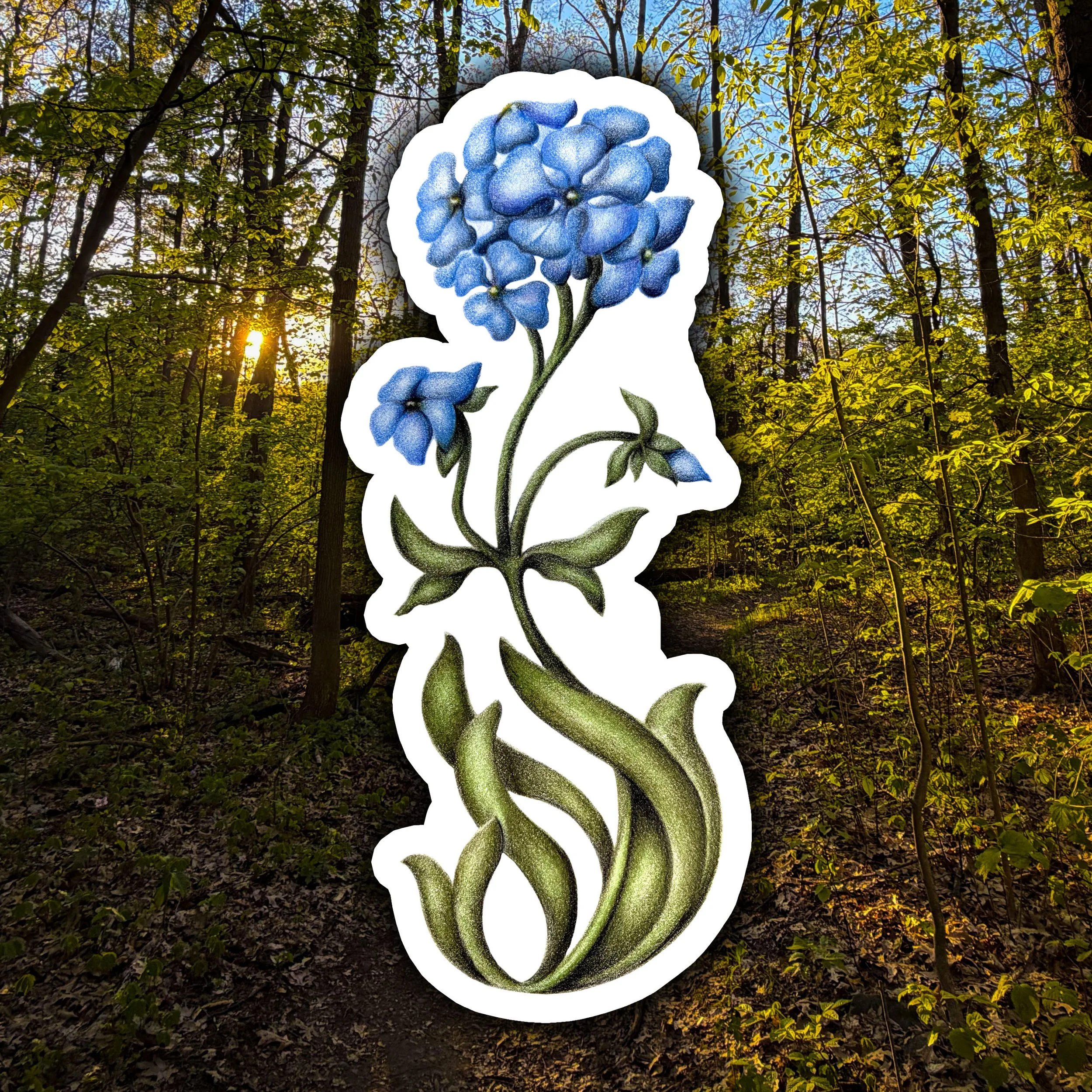 Wild Blue Phlox Sticker