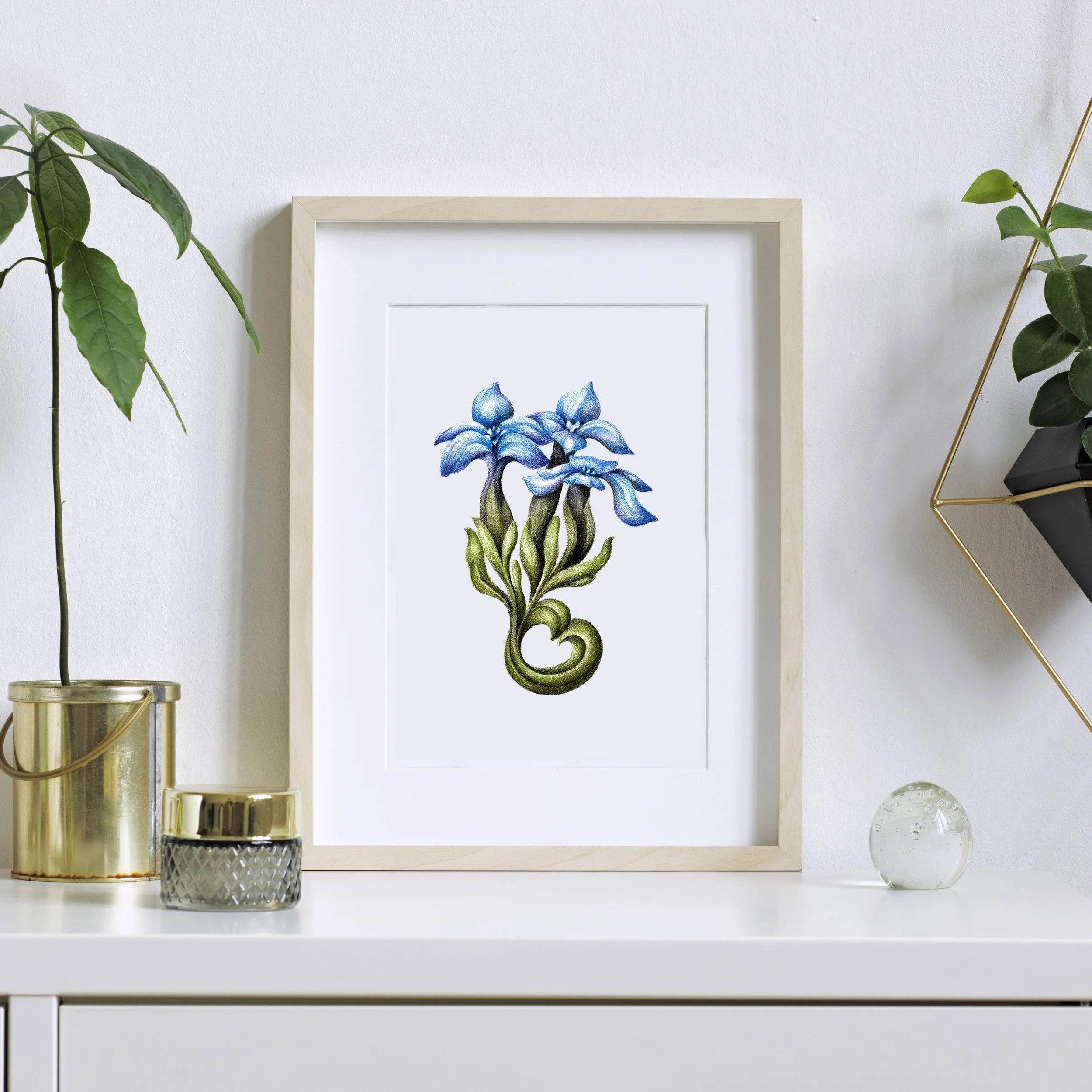 Spring Gentian flower on white desk with plants around it