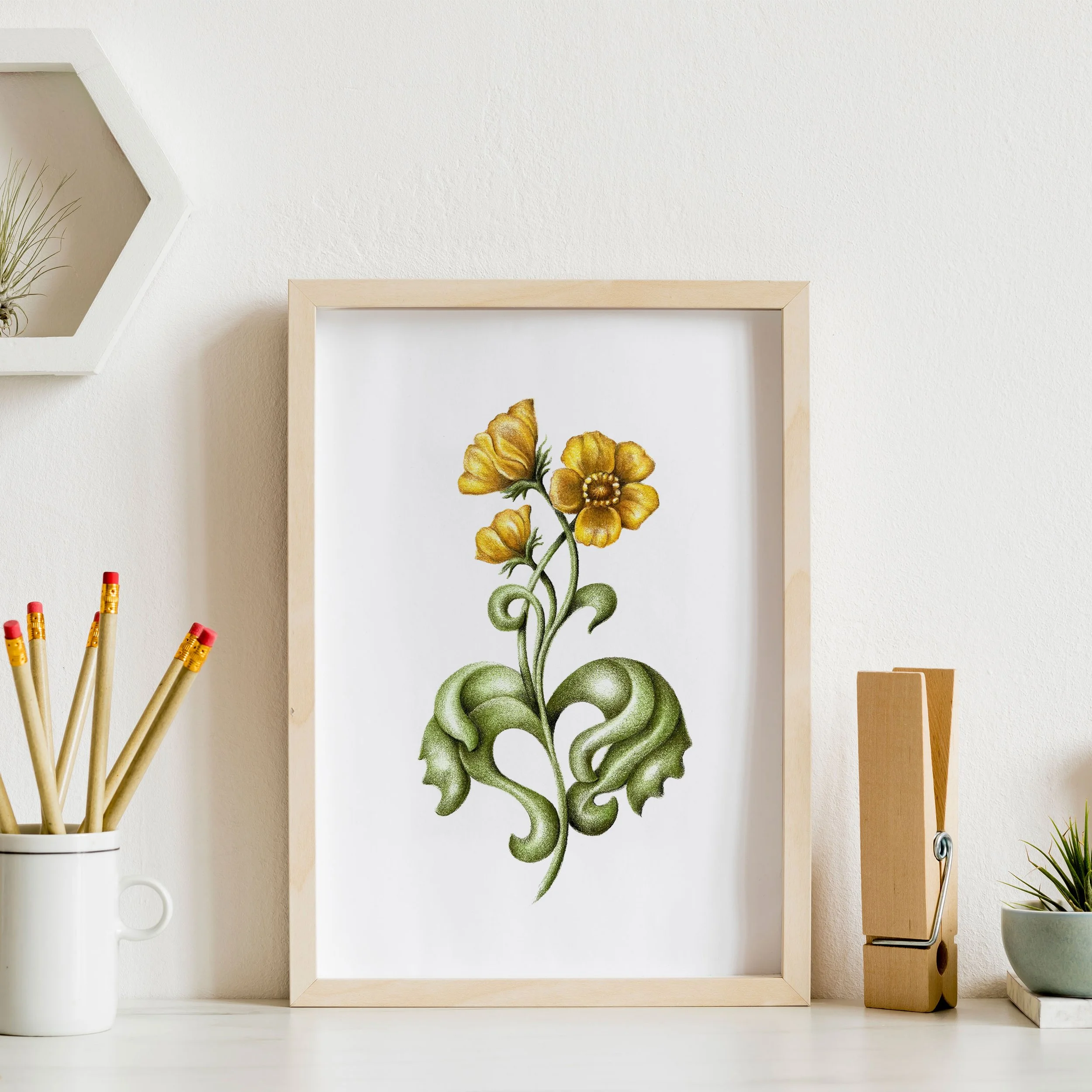 Alpine buttercup flower in frame on a desk with light wood