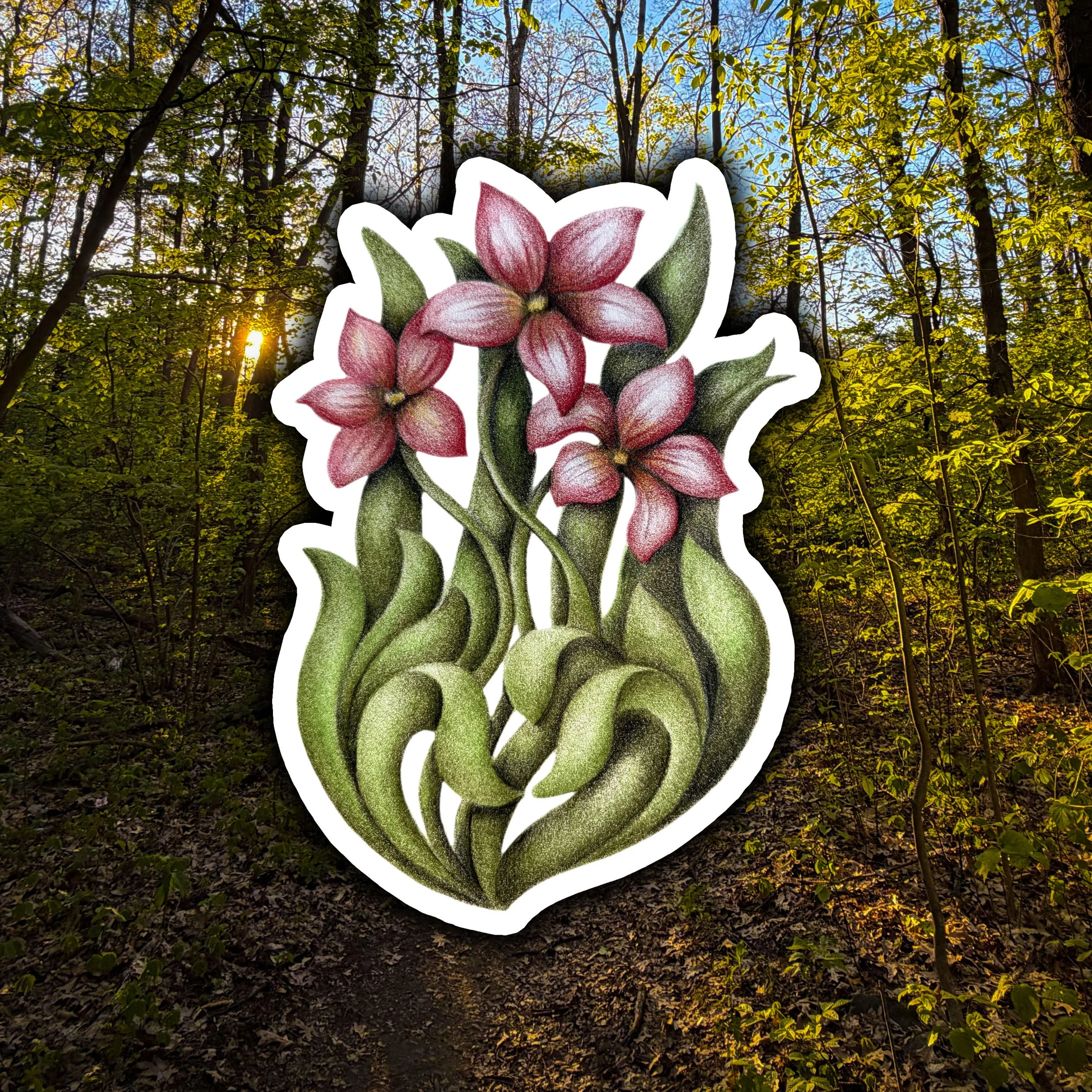 Spring Beauty Sticker
