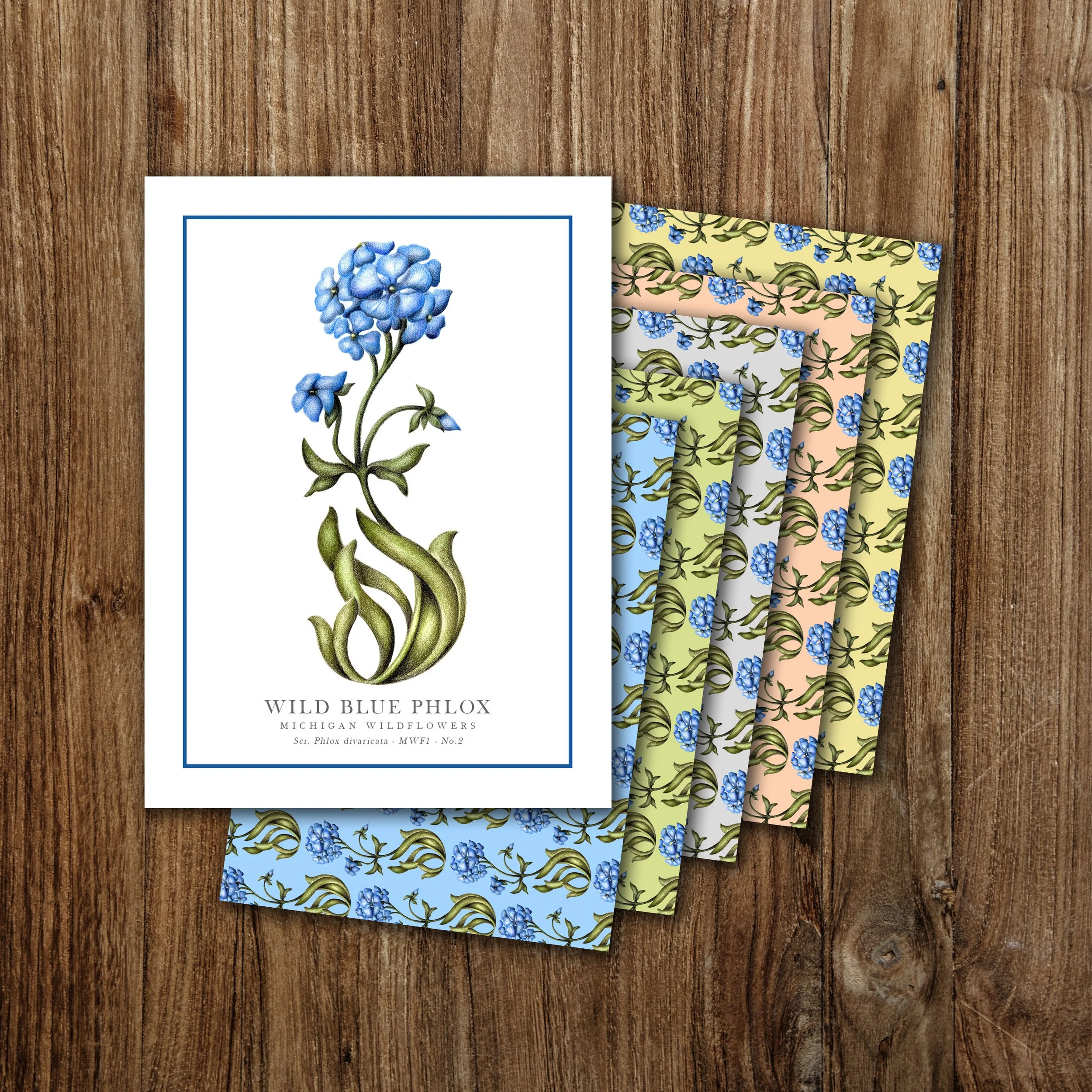 Wild Blue Phlox Notecards