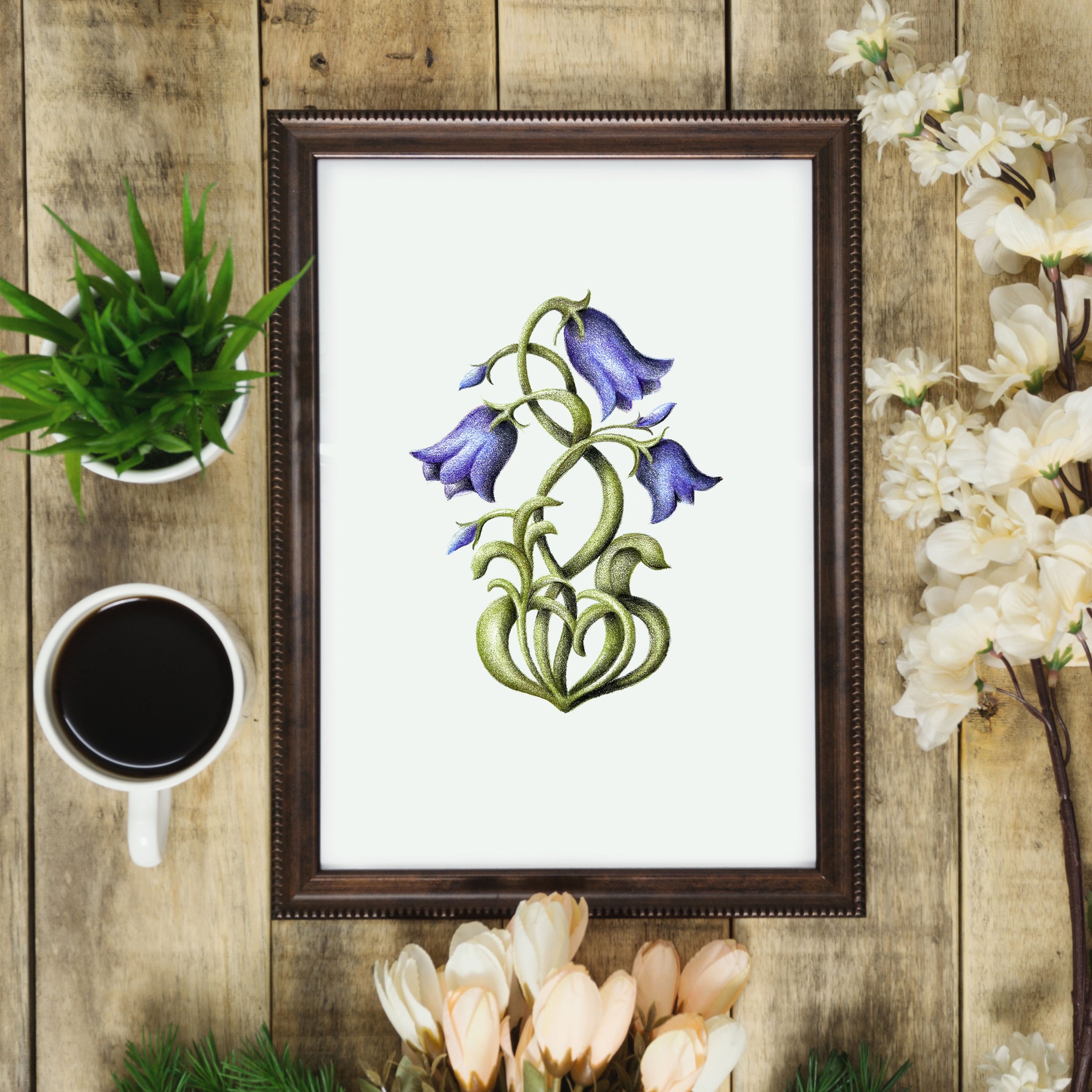 Mountain Harebell on wood table with coffee and flowers surrounding it