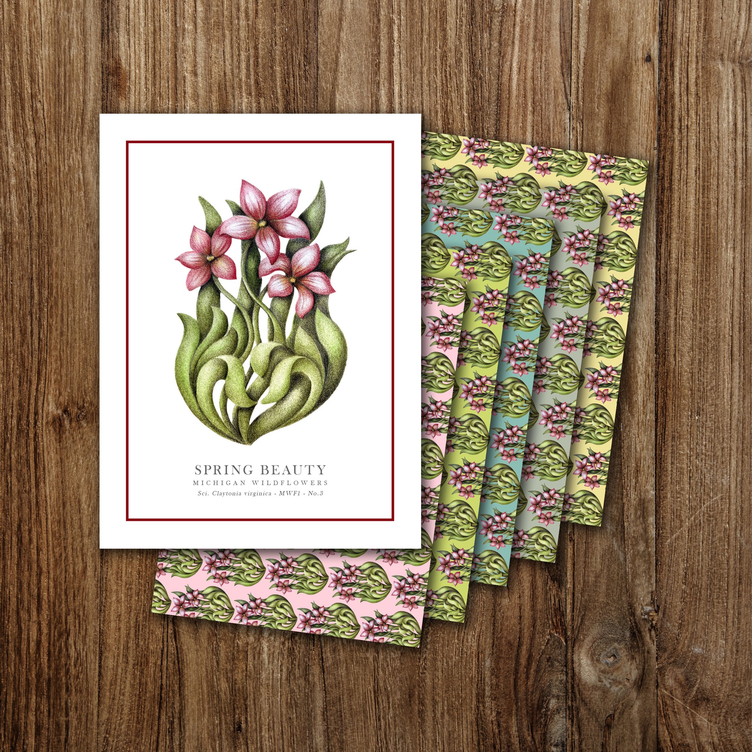 Spring Beauty Notecard Set