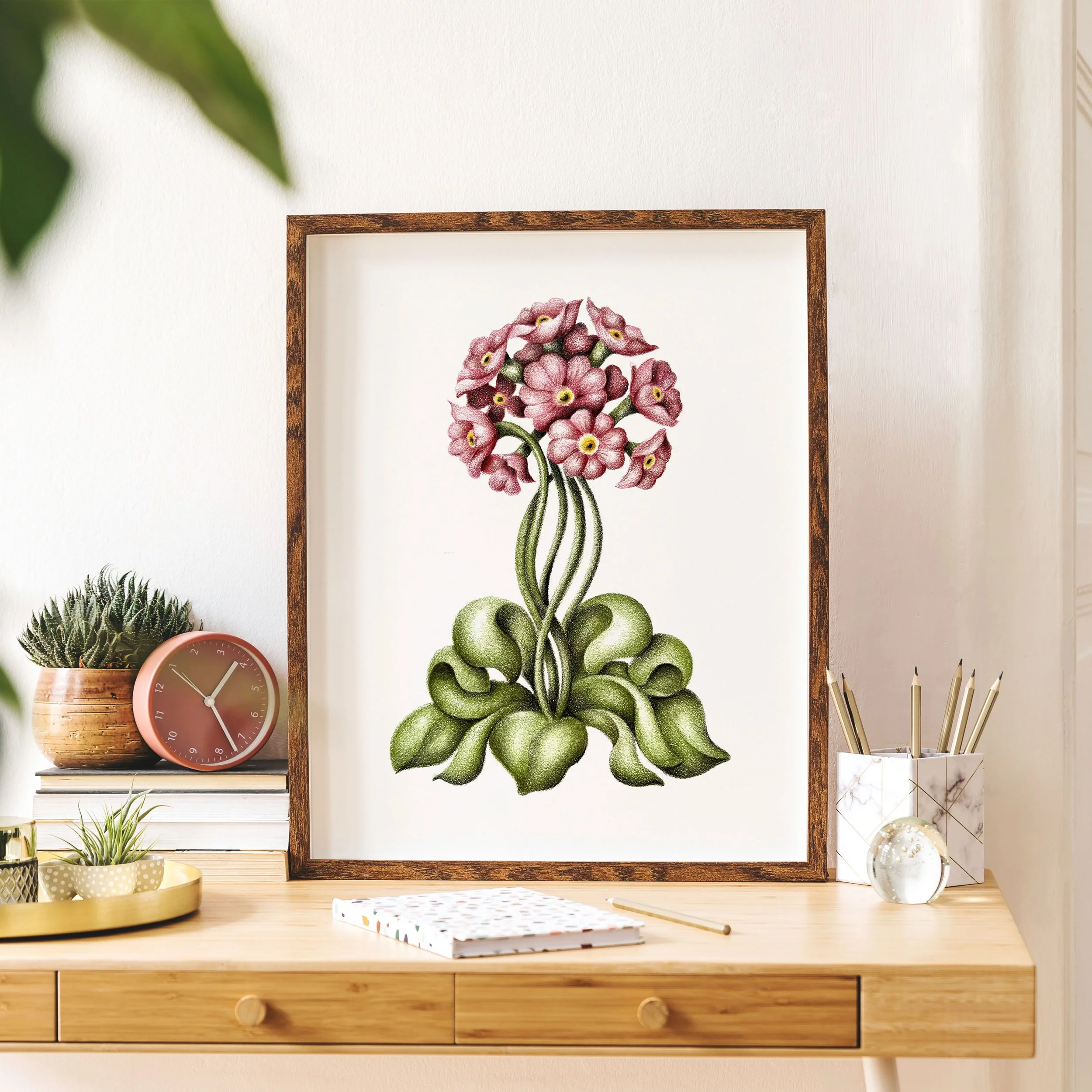 Primrose in wood frame on light desk with pencils and notebook nearby