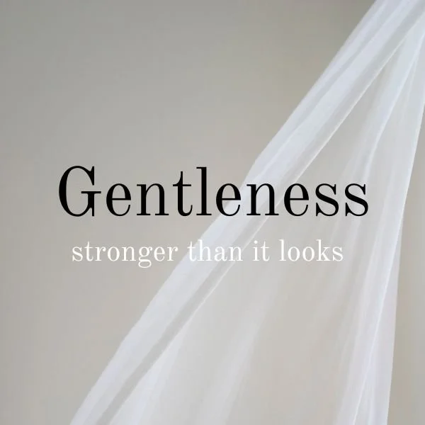 The Strength of Gentleness