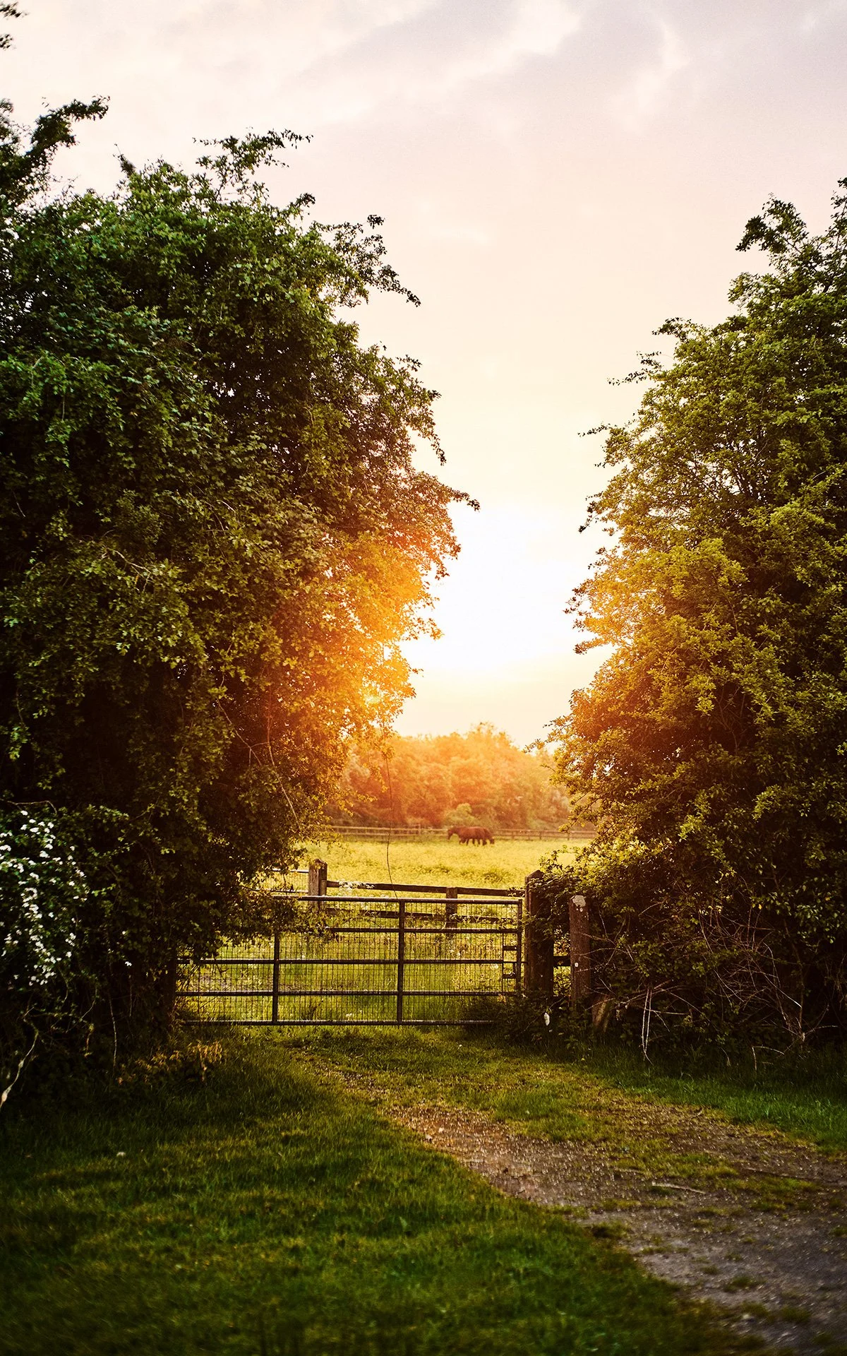 Touring Ireland’s most beautiful spots