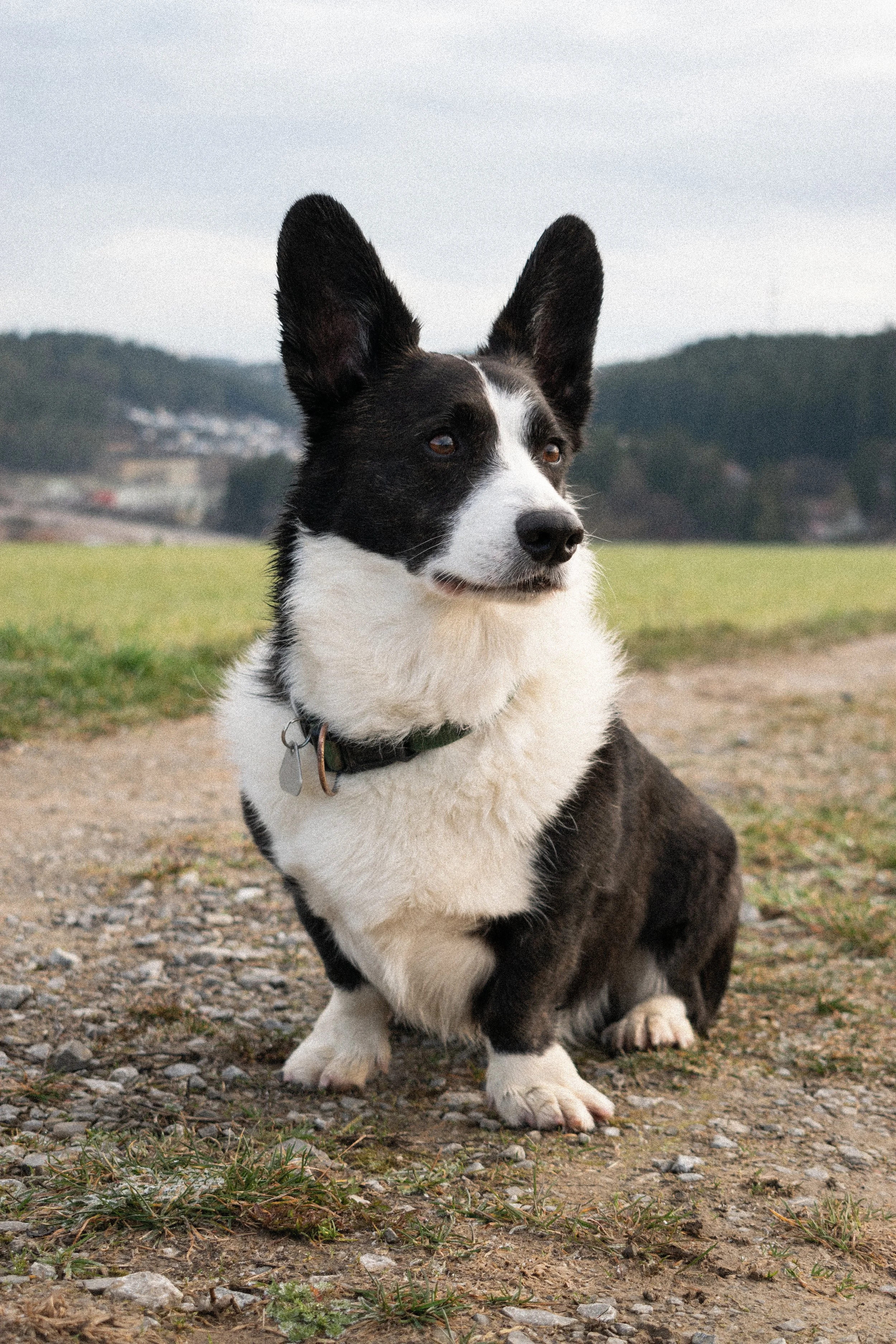 DSC_0137.JPG
