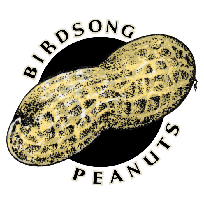 Birdsong logo.png