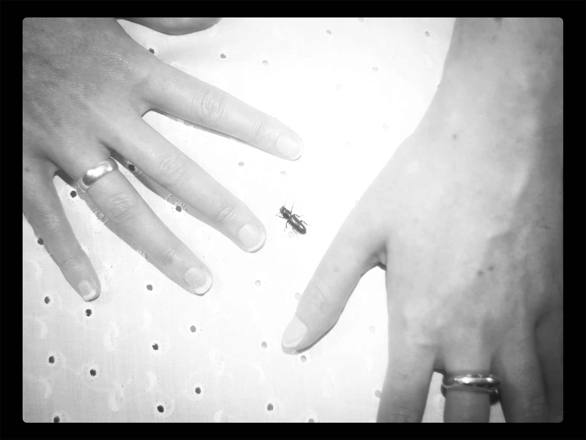 Digital Handprint Band .jpg