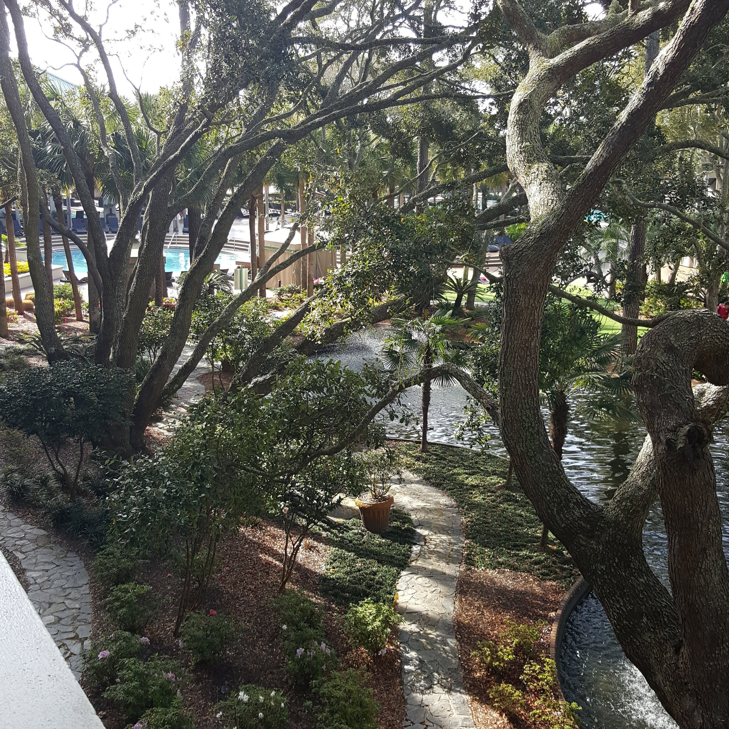 westin in hilton head island