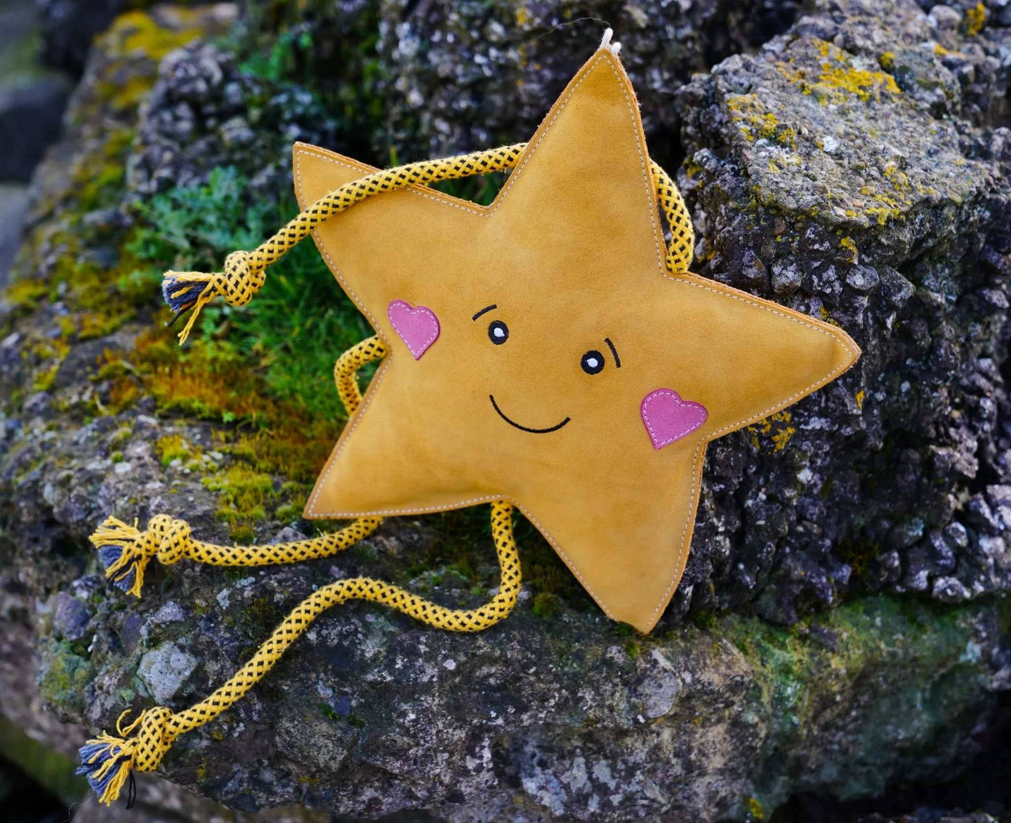 star2.jpg