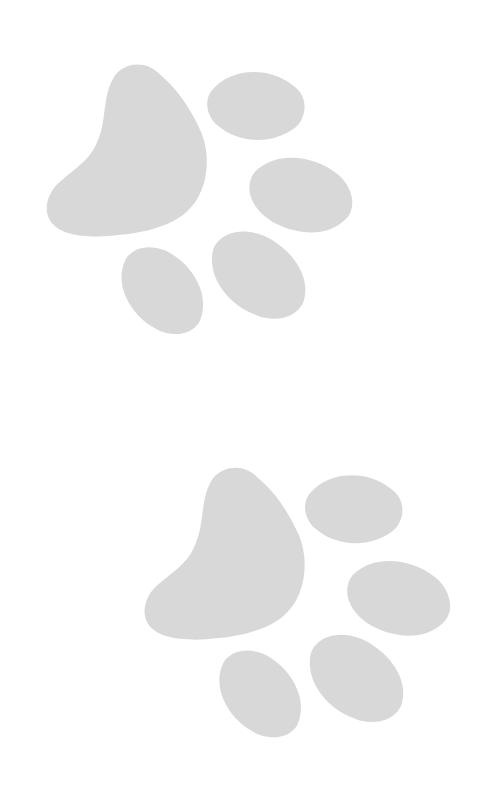 Vertical grey paw prints pointing down and to the right