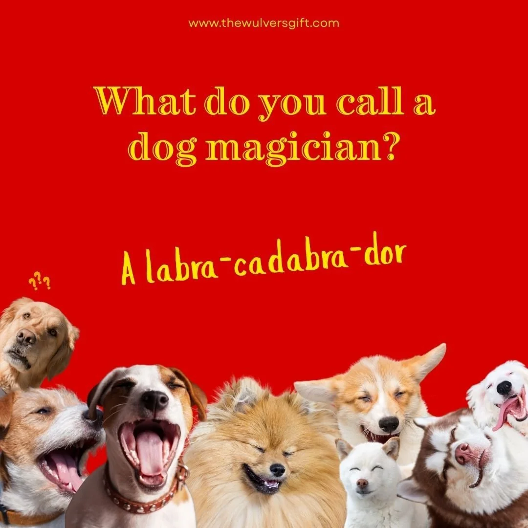 #thewulversgift #dogjokes #dogloversuk #doghumour