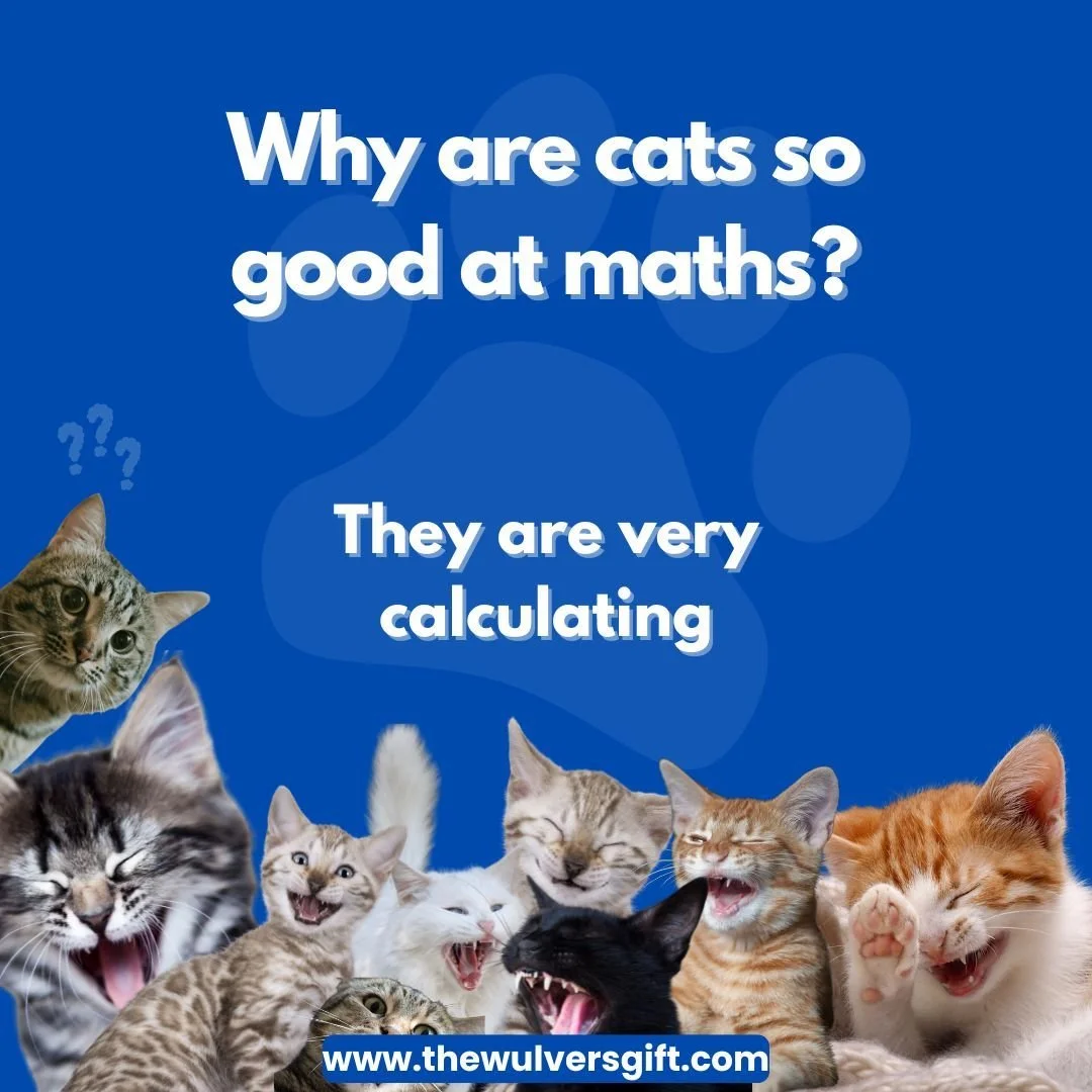 #thewulversgift #catjokes #CatLoversUK #CatHumour