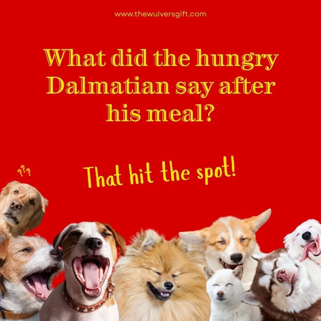 #thewulversgift #dogjokes #dogloversuk #doghumour