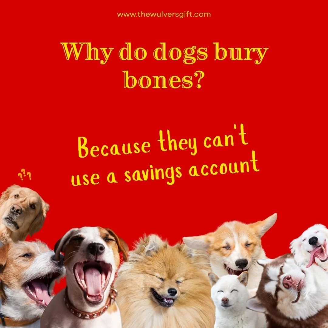 #thewulversgift #dogjokes #dogloversuk #doghumour