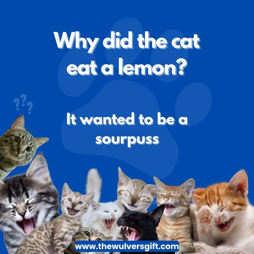 #thewulversgift #catjokes #CatLoversUK #CatHumour