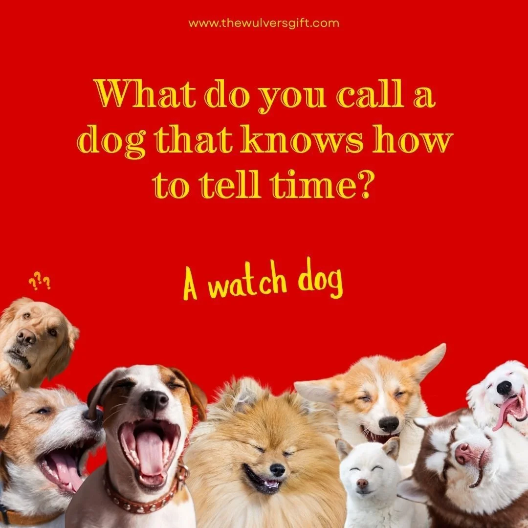 #thewulversgift #dogjokes #dogloversuk #doghumour