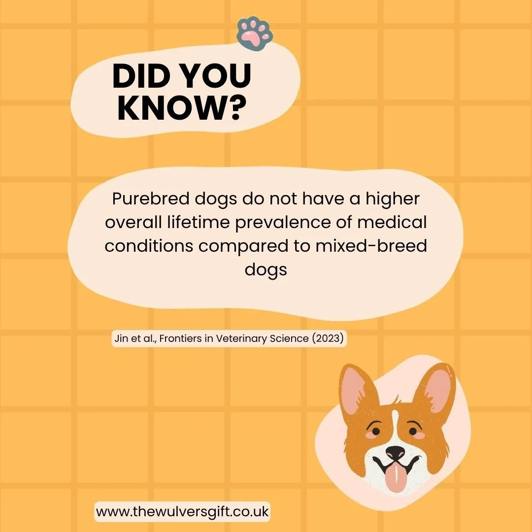 #thewulversgift #dogloversuk #dogfacts #doglife