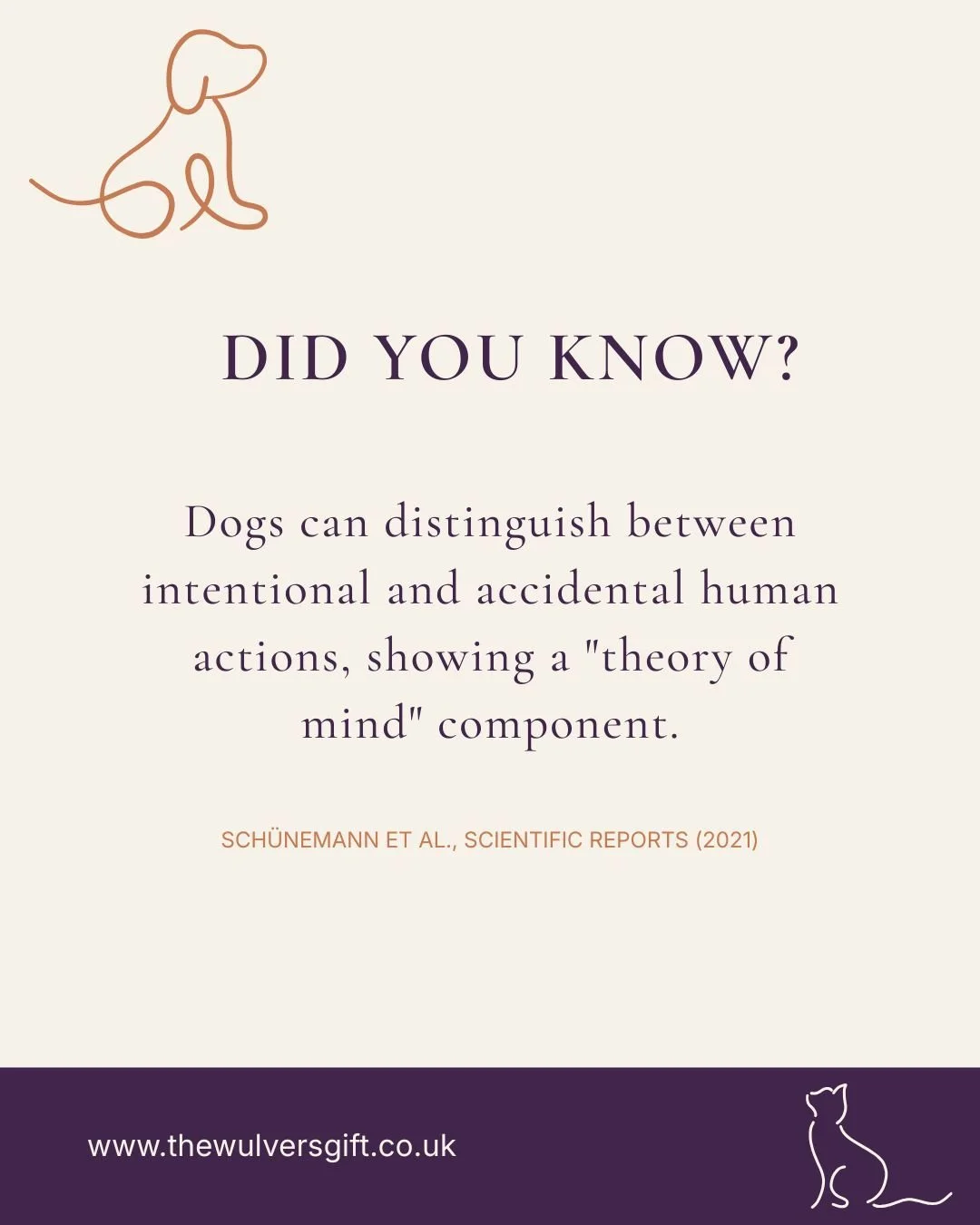 #thewulversgift #dogloversuk #dogfacts #doglife