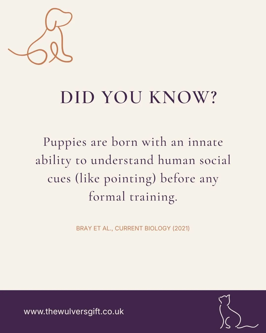 #thewulversgift #dogloversuk #dogfacts #doglife