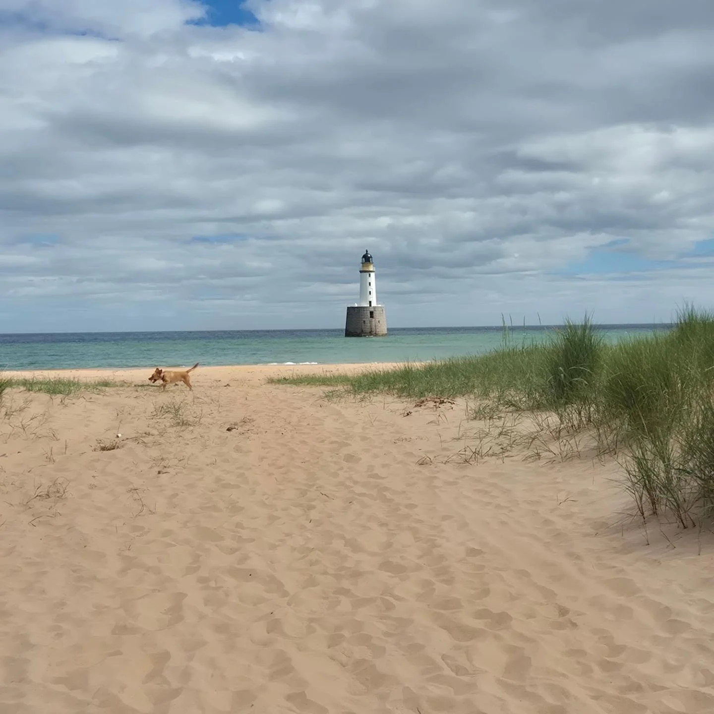 A little bit of an adventure today. 

Never been to Rattray Lighthouse before and we all thoroughly enjoyed it! 🥰

#thewulversgift #tobyofthewulversgift #rattrayheadlighthouse #exploring
