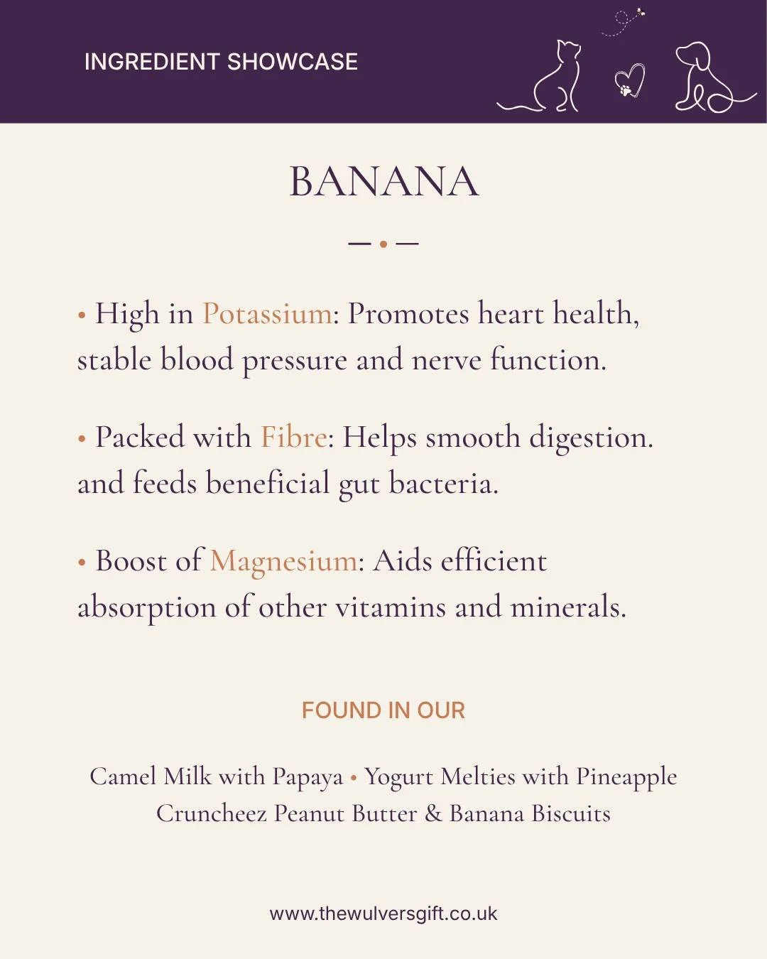 More than just a tasty snack&mdash;bananas are a true nutritional powerhouse for your dog! 🍌

This nutrient-dense fruit is packed with:
- Potassium &amp; Magnesium: To support healthy muscle and bone development.
- Vitamin B6: To boost brain functio