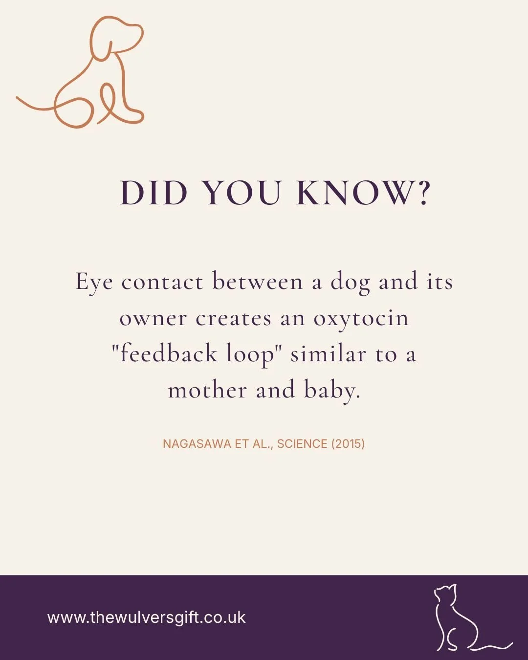#thewulversgift #dogloversuk #dogfacts #doglife