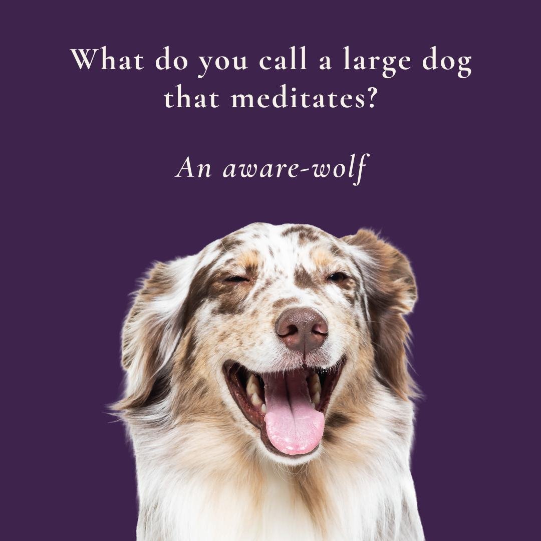 #TheWulversGift #DogJokes #DogHumour #NaturalDogTreats #UKDogs #DogsOfUK #UKPetShop #HealthyDogTreats #DogLovers