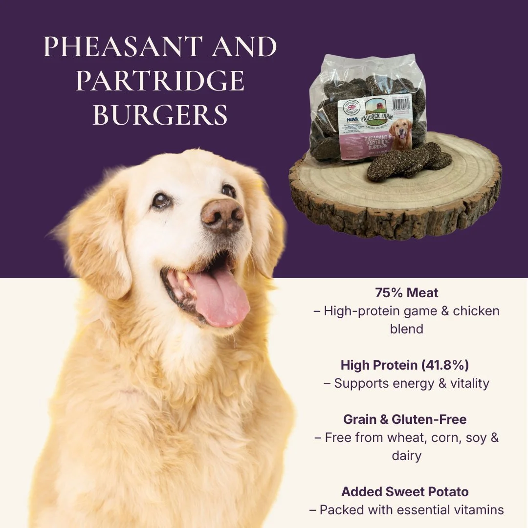 Give your dog a taste of wild game with our delicious Pheasant &amp; Partridge Burgers! 🪶🐾

Crafted with 75% meat (pheasant, partridge, and chicken) and packed with 41.8% protein, these high-energy dog treats are completely grain-free and rich in n