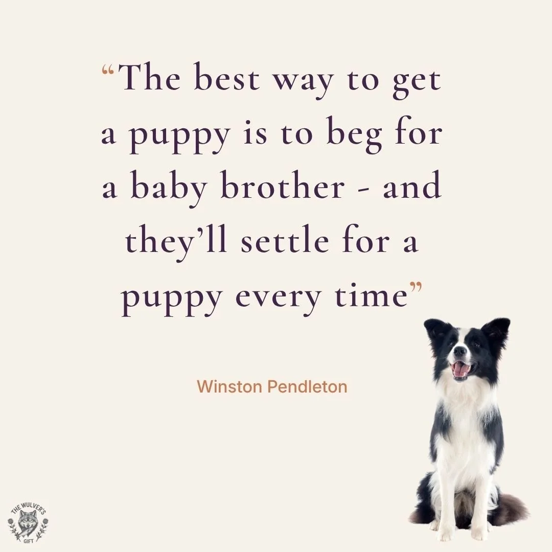 Words to live by! 🐾 

Does this resonate with you (👍🏻), or do you have a favourite quote of your own (❤️)? Let us know below! 👇🏻

#TheWulversGift #DogQuotes #DogWisdom #NaturalDogTreatsUK #UKDogs #DogsOfUK #UKPetShop #HealthyDogTreats #DogLovers