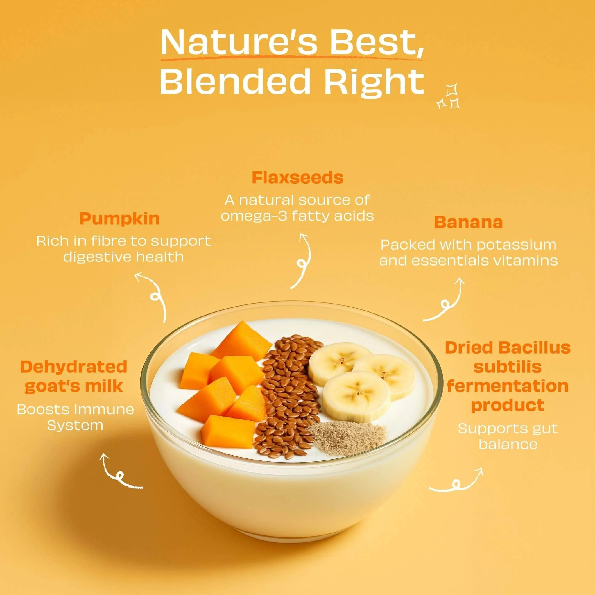 Infographic for Pawfect Nature’s Sip Goat Milk Digestive Support for Cats featuring a bowl of milk topped with pumpkin, flaxseeds, banana, and probiotics