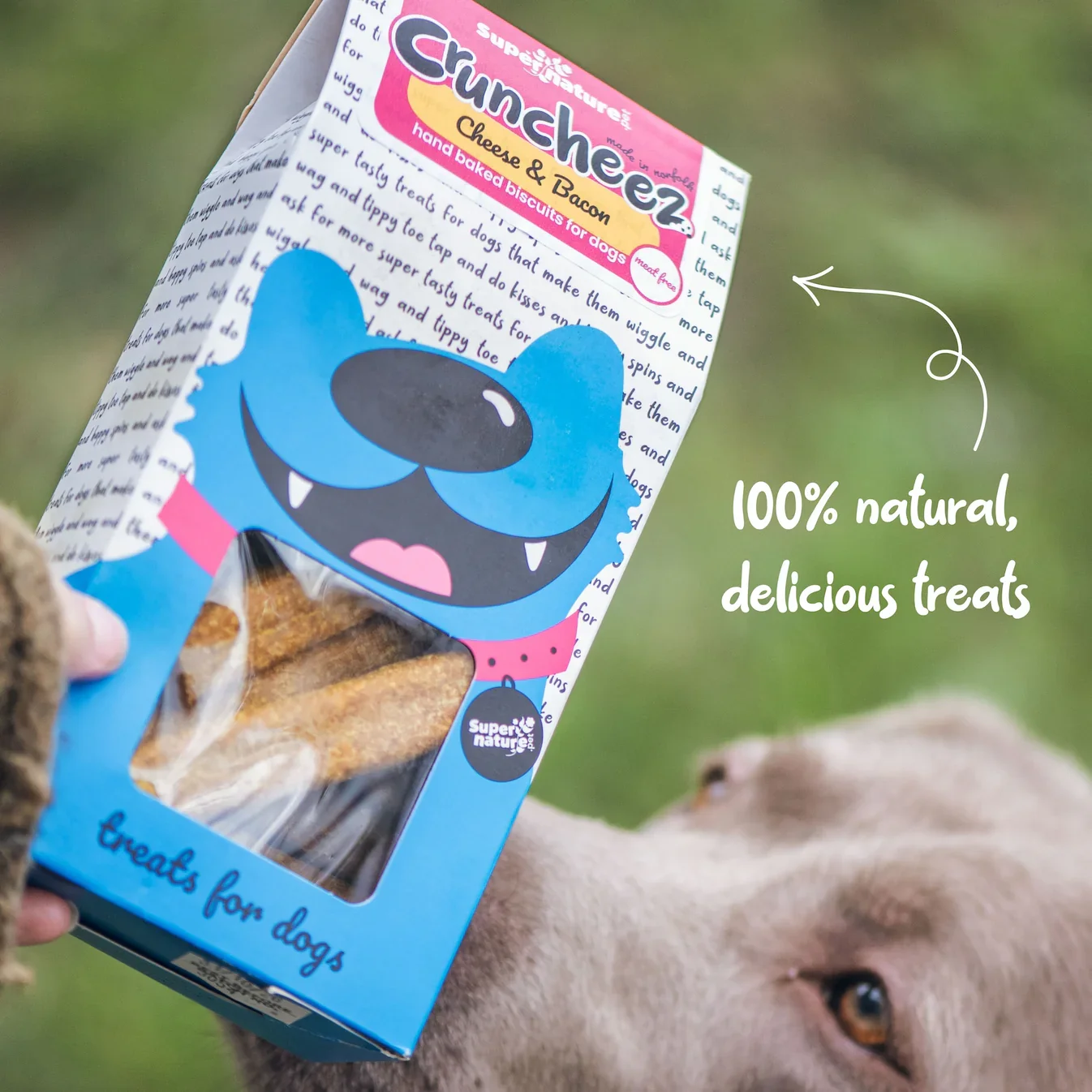 Cruncheez Cheese and Bacon Biscuits 2.webp