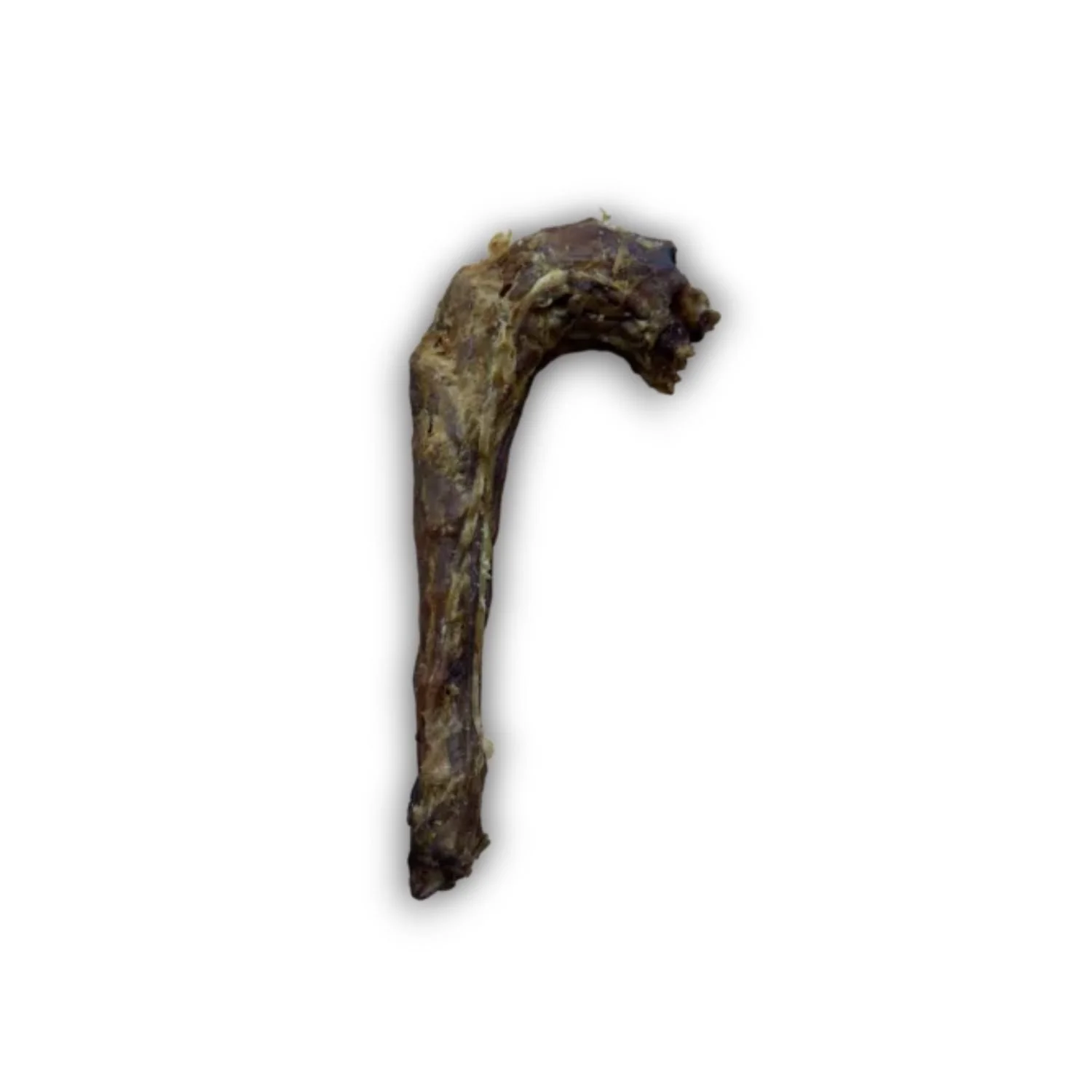 Single dried, natural curved turkey neck dog treat standing vertically against a plain white background.