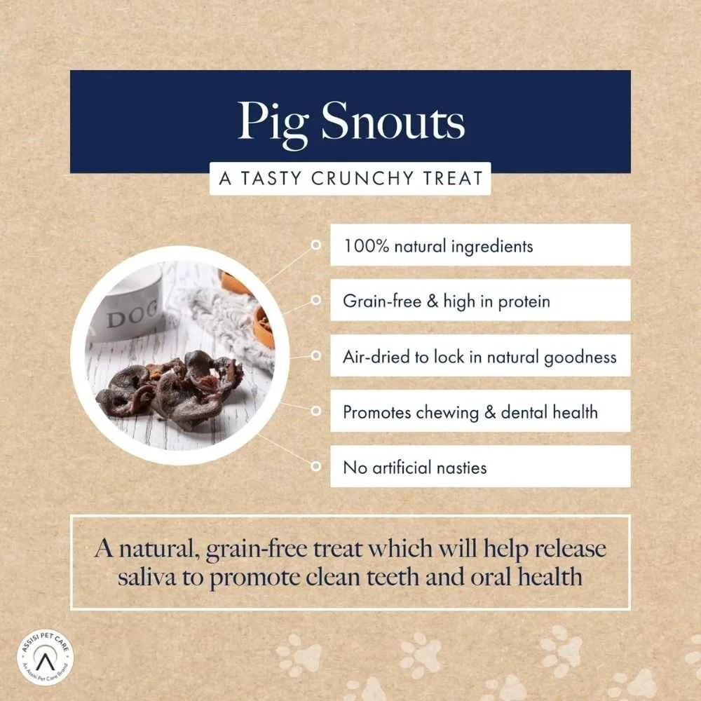 Pig-Snouts-Key-Information.jpg