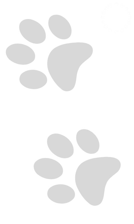 Vertical grey paws angled upwards and to the left