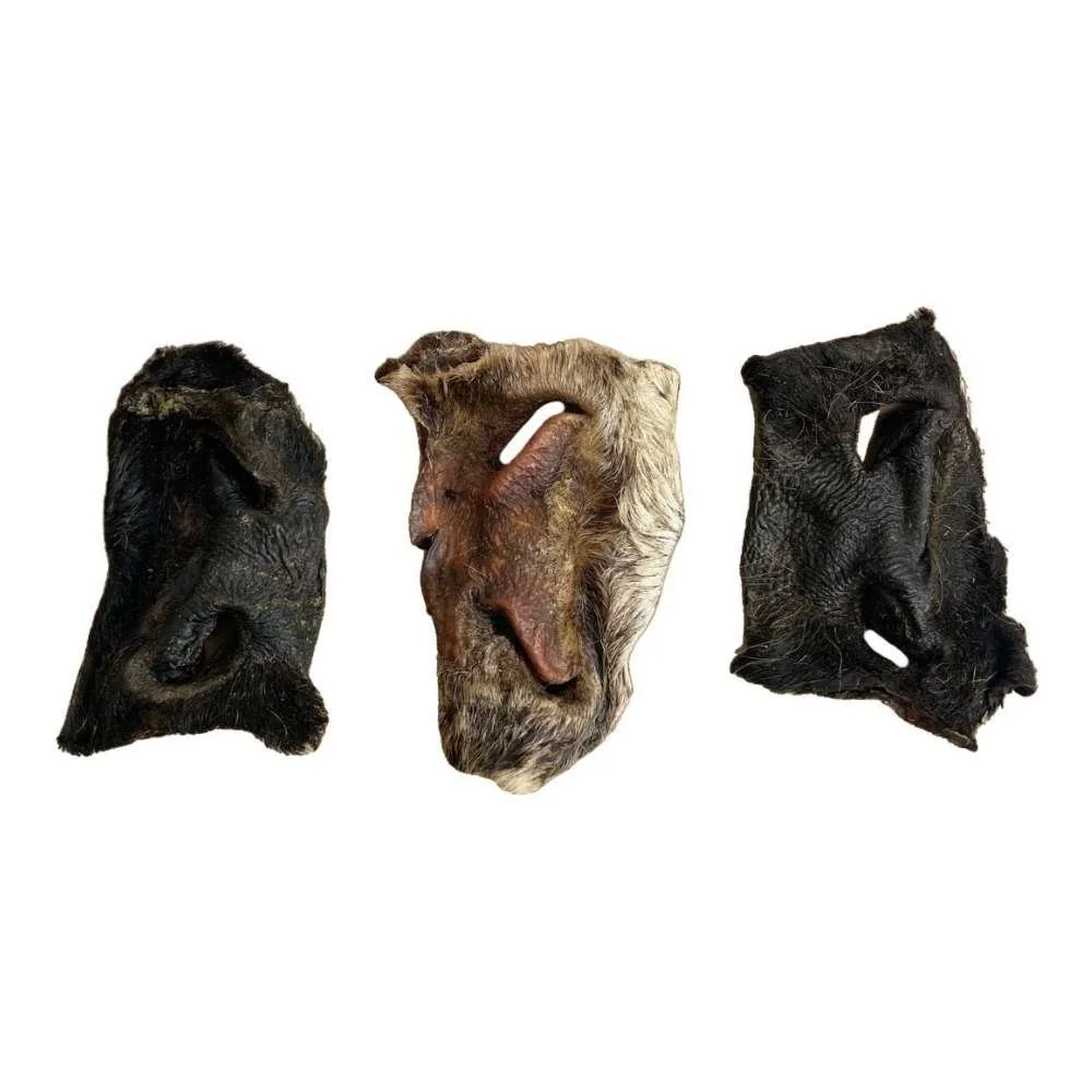Three individual Paddock Farm air-dried hairy beef snouts arranged side-by-side to showcase variations in fur colour.