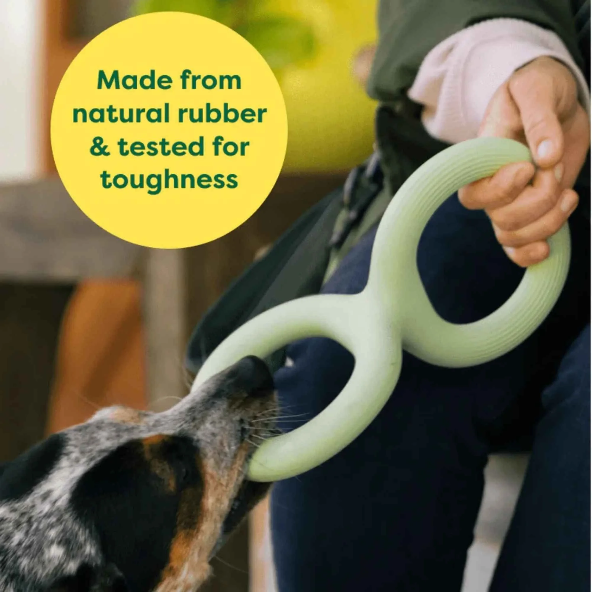 A person holding a green rubber figure-eight toy while a dog pulls the other side.