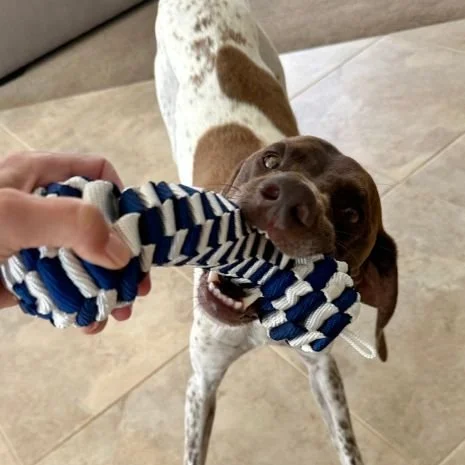 navy_braided_bone_tug_dog_toy_lifestyle_1.jpg