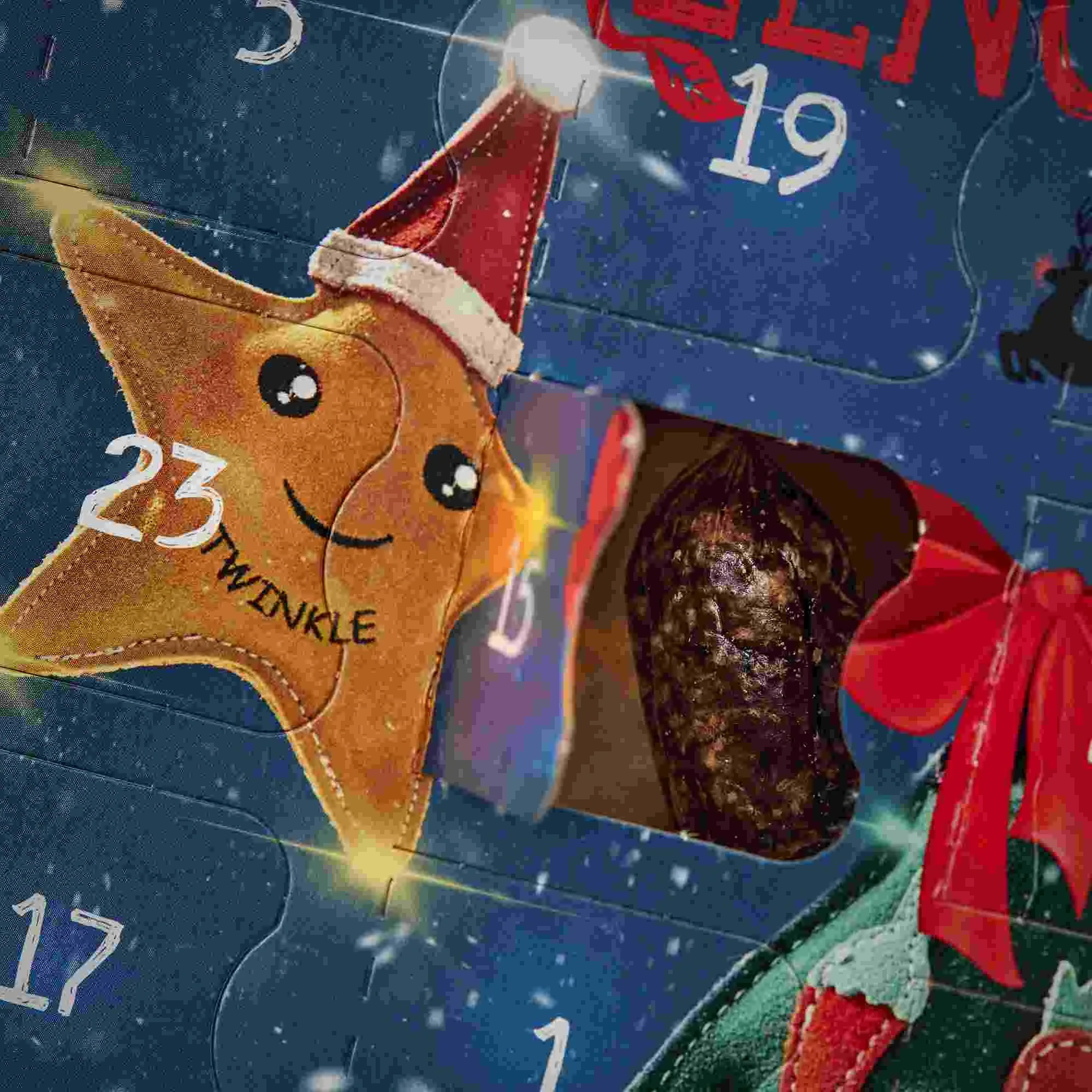 A close-up view of the advent calendar doors, showing an opened window for day 23 (revealing a dark, natural dog treat) next to an illustrated smiling star wearing a Santa hat.