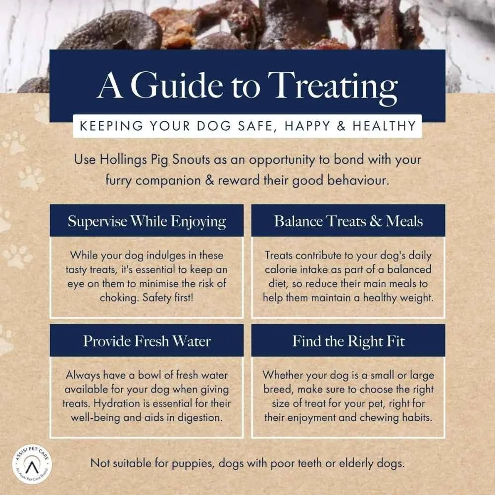 Pig-Snouts-Treating-Guide.jpg