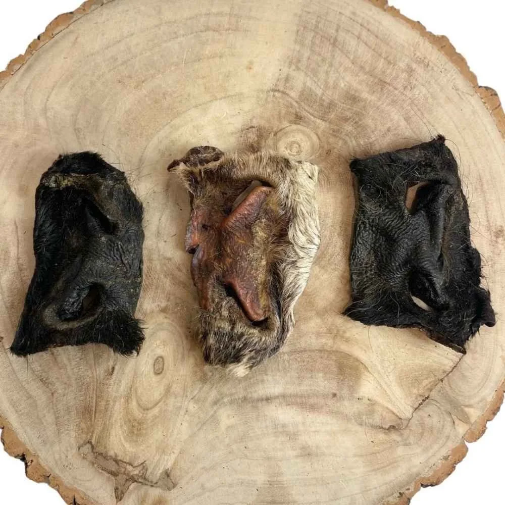 Three air-dried Paddock Farm hairy beef snouts showing different fur colours laid out in a row on a rustic wooden slice.