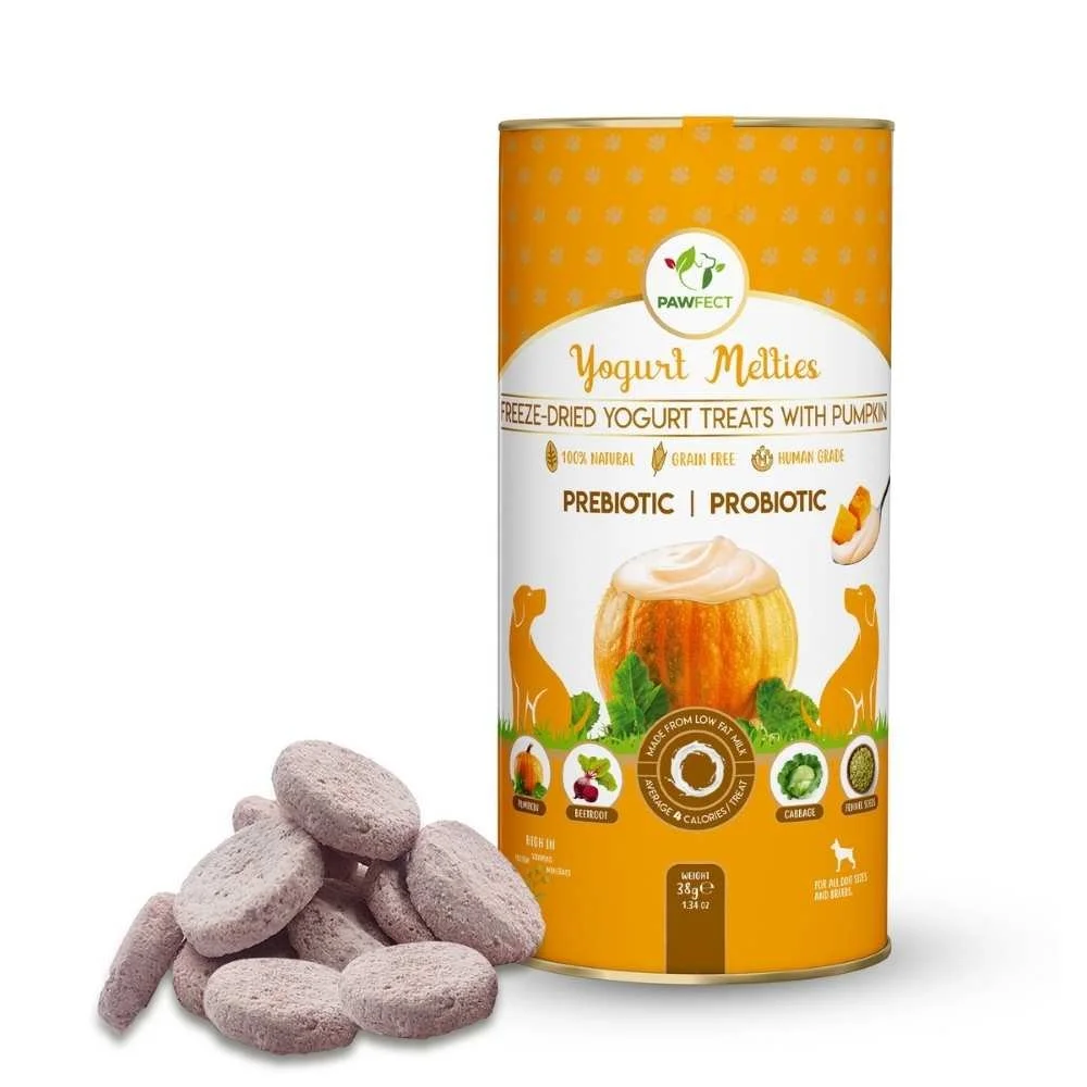 Pawfect-Yogurt-Melties-Pumpkin.jpg