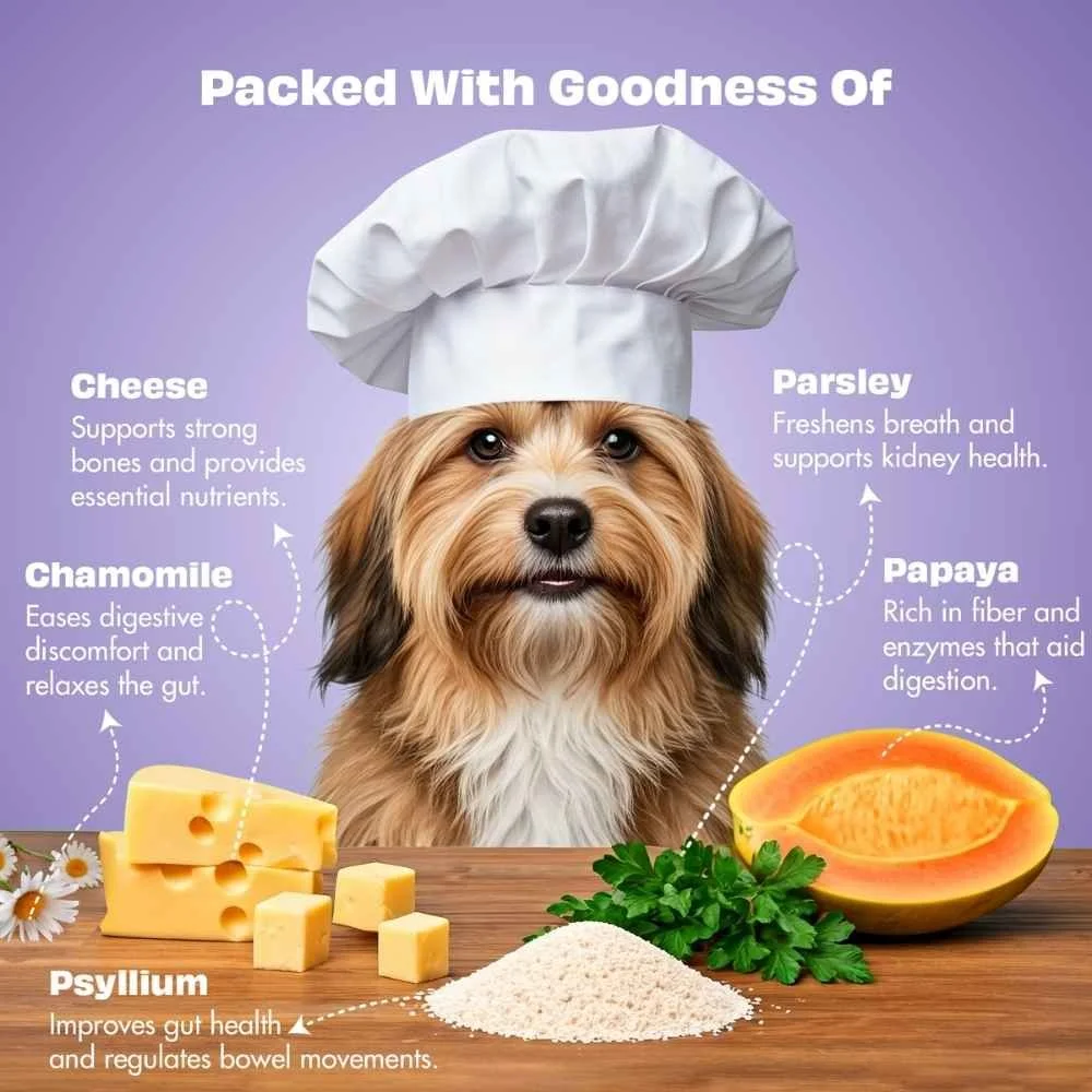 An infographic displaying the digestive blend cheese treats containing papaya, ginger, and psyllium.