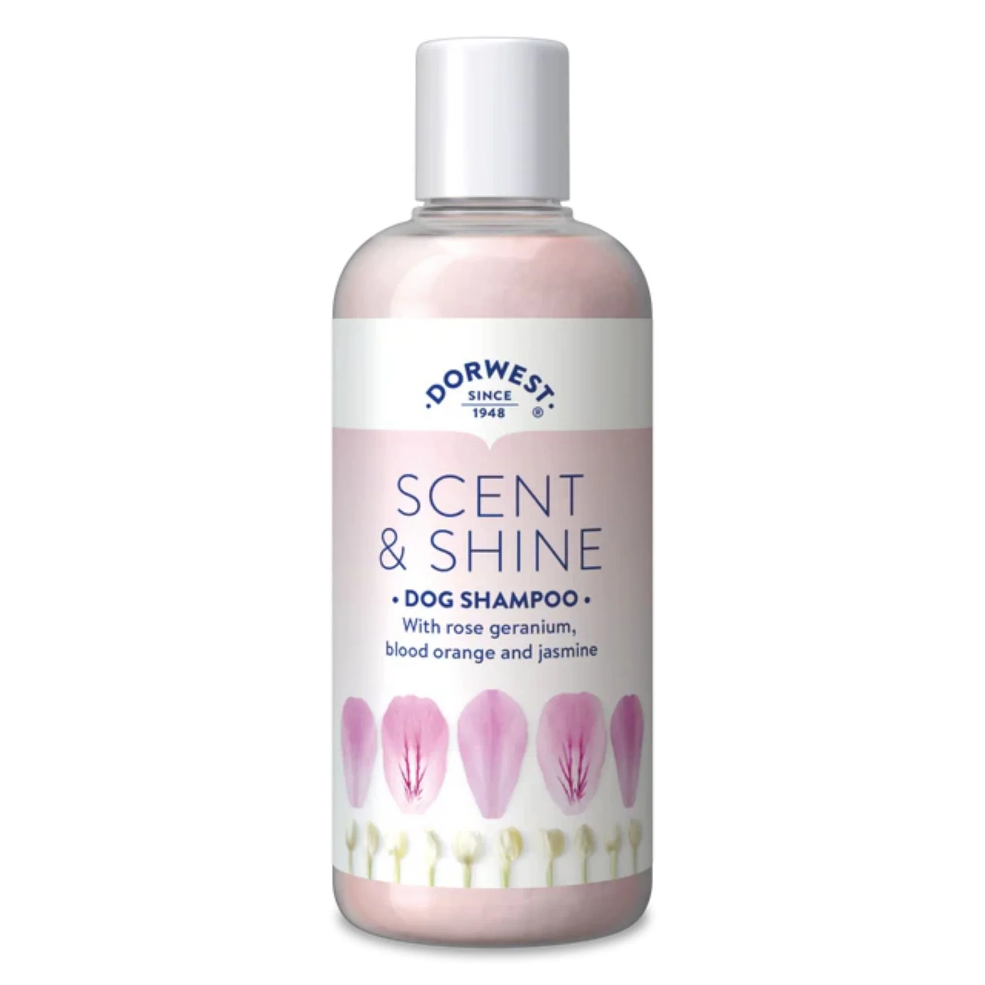 Scent-Shine-Shampoo.jpg